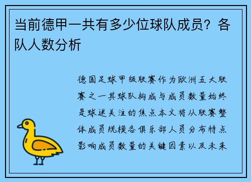 当前德甲一共有多少位球队成员？各队人数分析